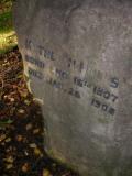 image of grave number 484271
